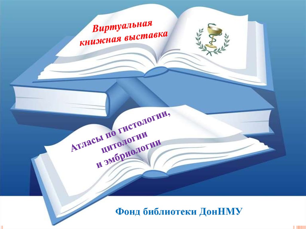 Образец виртуальной выставки в библиотеке