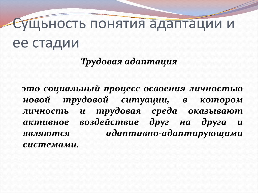 Реферат: Факторы успеха на работе, адаптация в коллективе.