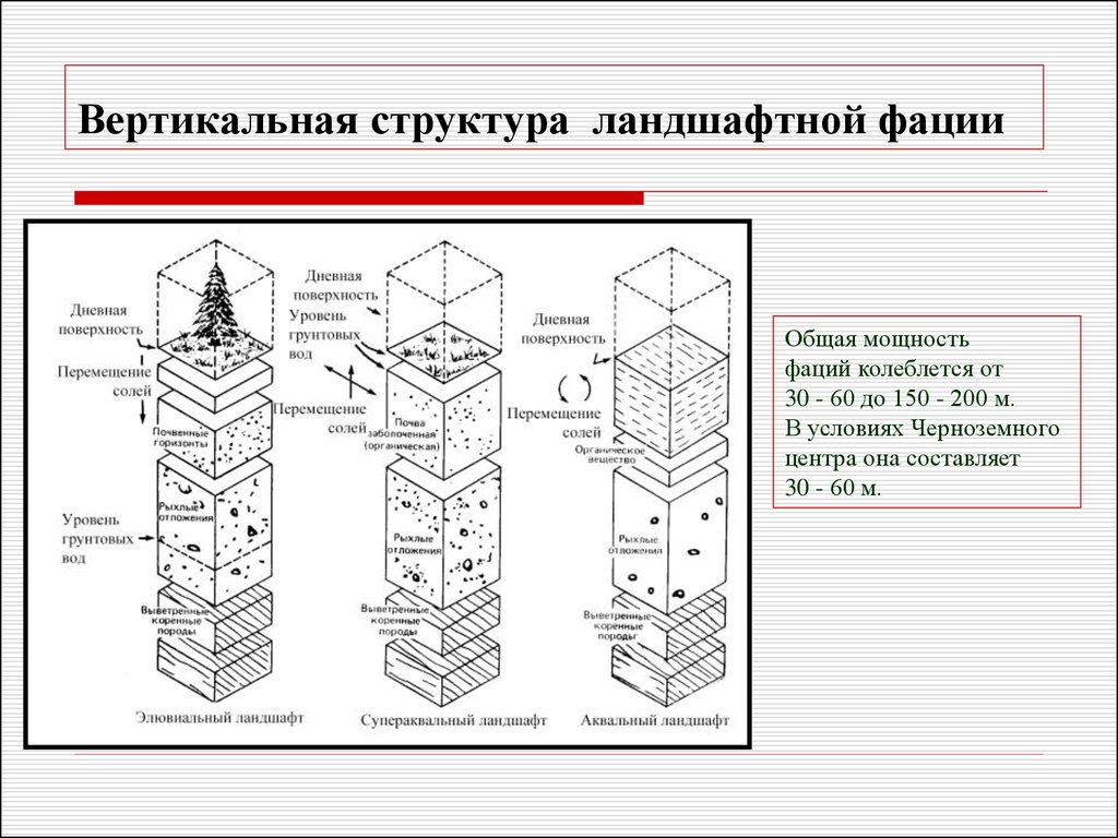 Примеры вертикальной структуры. Вертикальное (ярусное) строение ландшафта. Горизонтальная и вертикальная структура ландшафта. Вертикальная структура ландшафта схема. Ландшафтная структура территории схема.