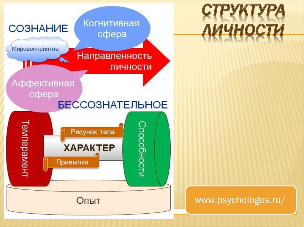 Личностная структура. Когнитивная структура личности. Структура личности рисунок. Рисунок на тему структура личности. Структура индивидуальности рисунок.