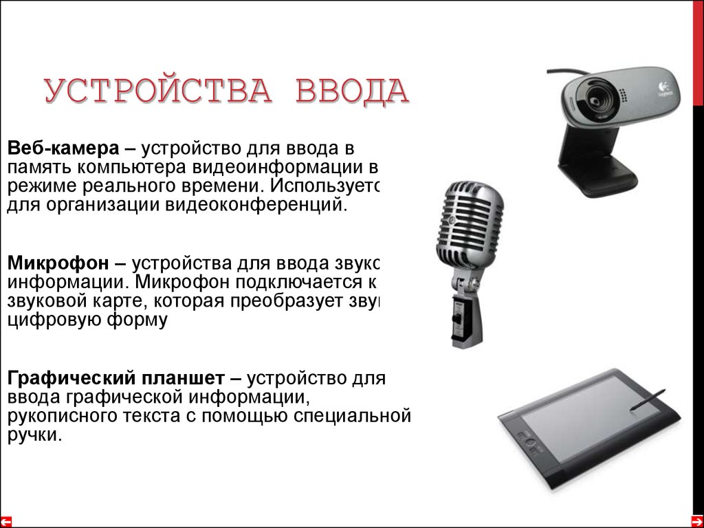 К аппаратным средствам мультимедиа относятся сканер принтер микрофон колонки звуковая карта