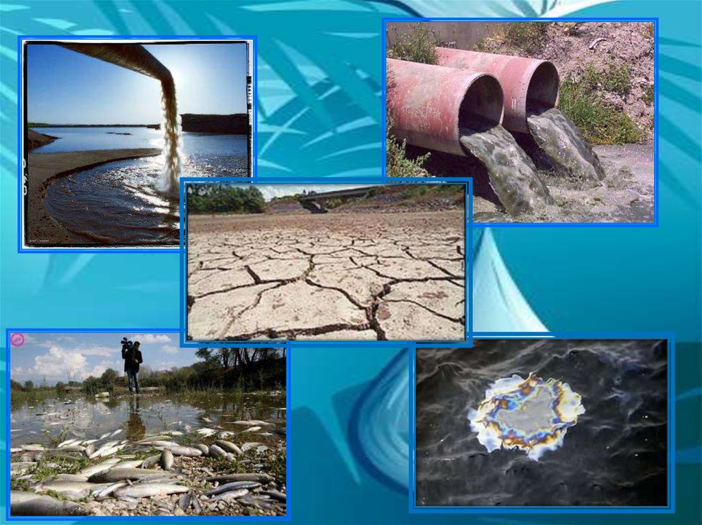 Разнообразие водных ресурсов. Проект про источник воды. Водные ресурсы коллаж. Беречь водные ресурсы. Источники водных ресурсов на земле.