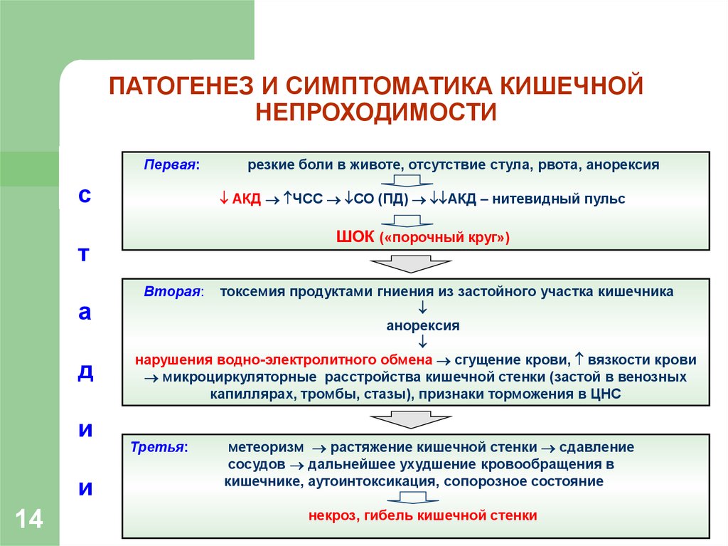 План обследования при кишечной непроходимости