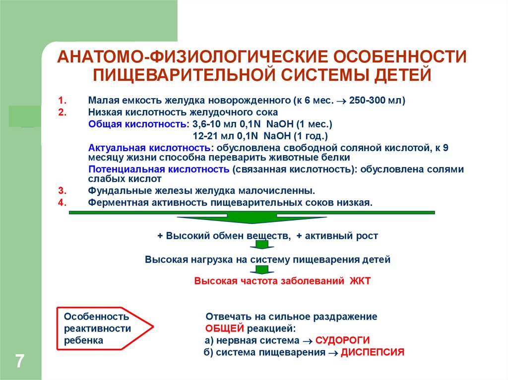 Анатомо физиологические особенности органов пищеварения презентация