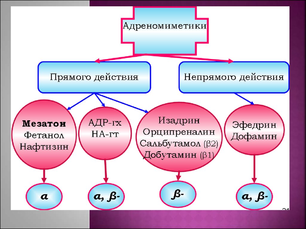 Прямого действия и косвенные. Классификация Альфа и бета адреномиметиков. Классификация Альфа адреномиметиков. Альфа адреномиметики непрямого действия. Альфа адреномиметики механизм.