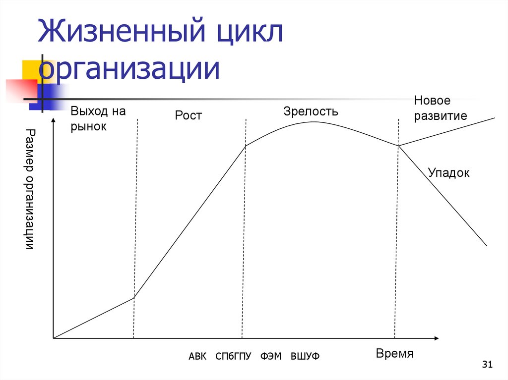 Вывод жизненных циклов. Стадии жизненного цикла компании. Этапы жизненного цикла фирмы. Этапы жизненного цикла предприятия. Стадии жизненного цикла организации график.
