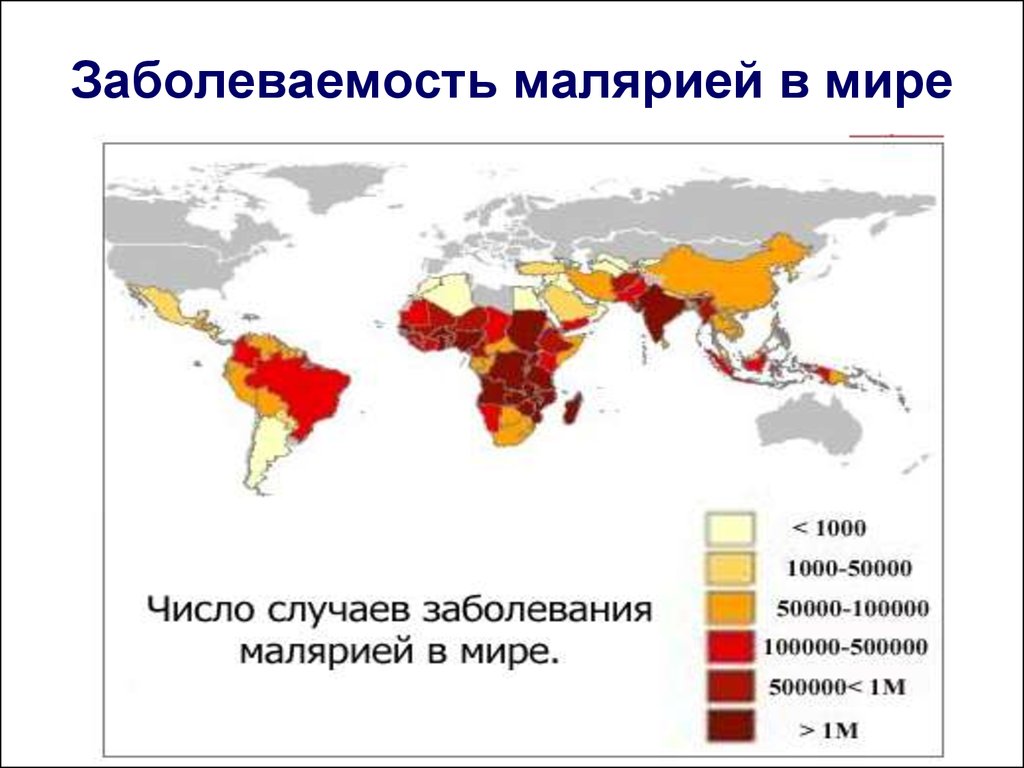 Распространение малярии. Распространенность малярии в мире. Карта заболеваемости малярией в мире. Малярия распространение в мире 2020. Карта распространения малярии в мире.