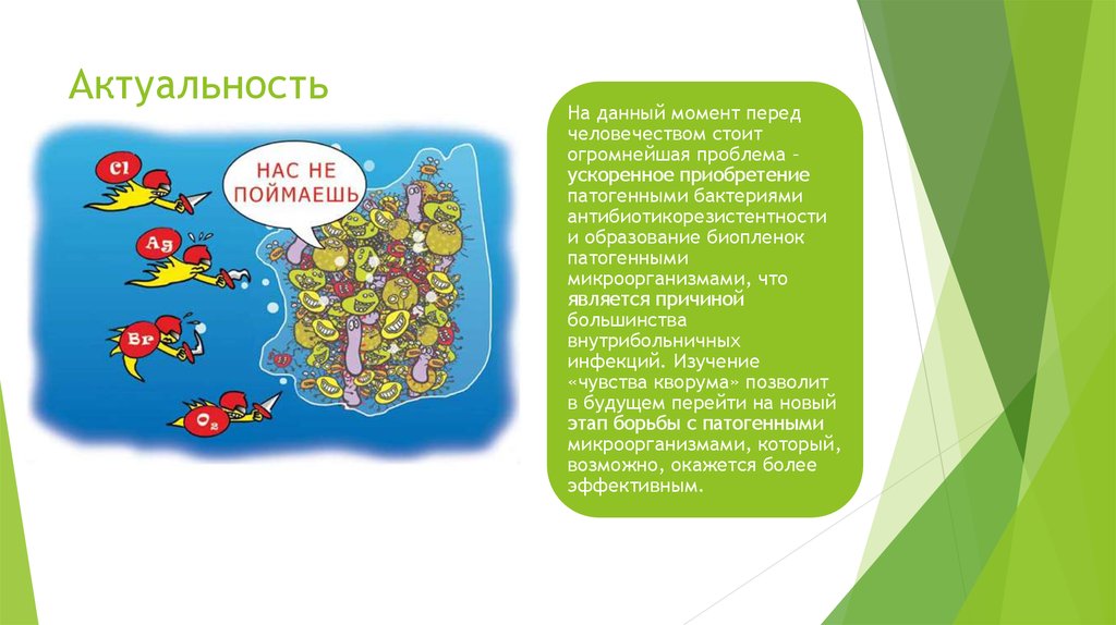 Актуальность