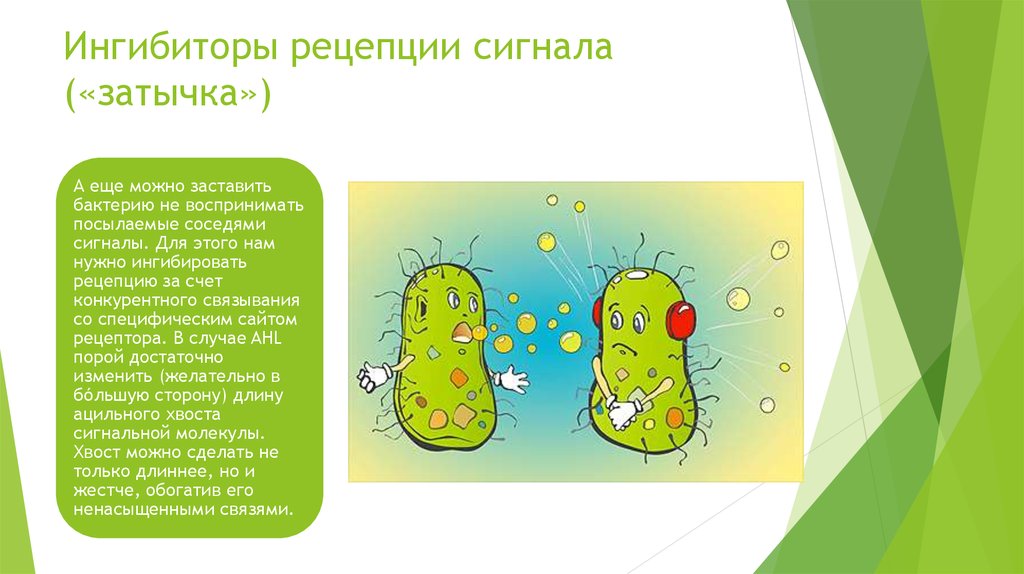 Ингибиторы рецепции сигнала («затычка»)