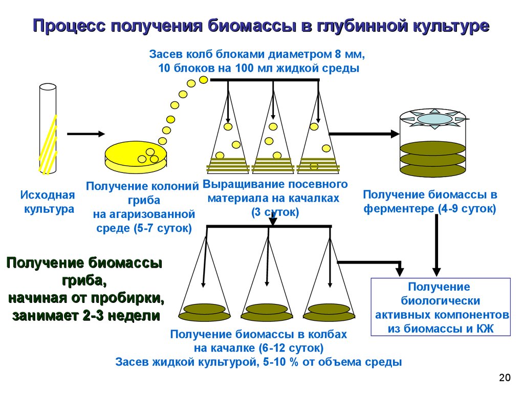 Получение неделя