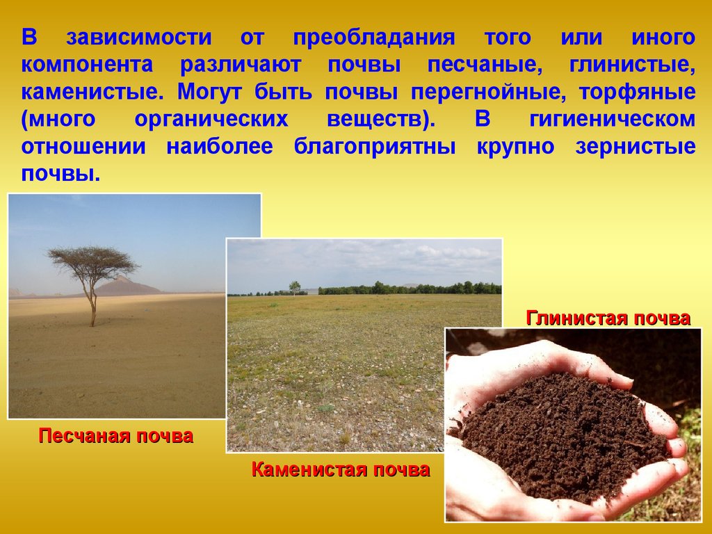 Почва является системой. Глинистые и песчаные почвы. Песчано каменистая почва. Каменистость почв. Почва гигиена и экология.