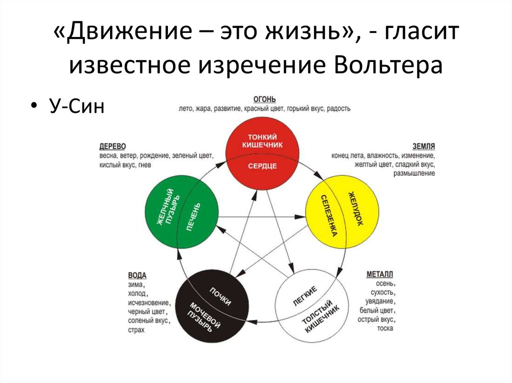 Схема здоровья у син