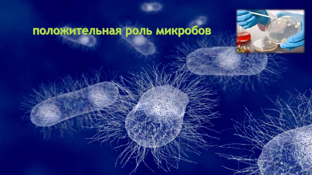 положительная роль микробов