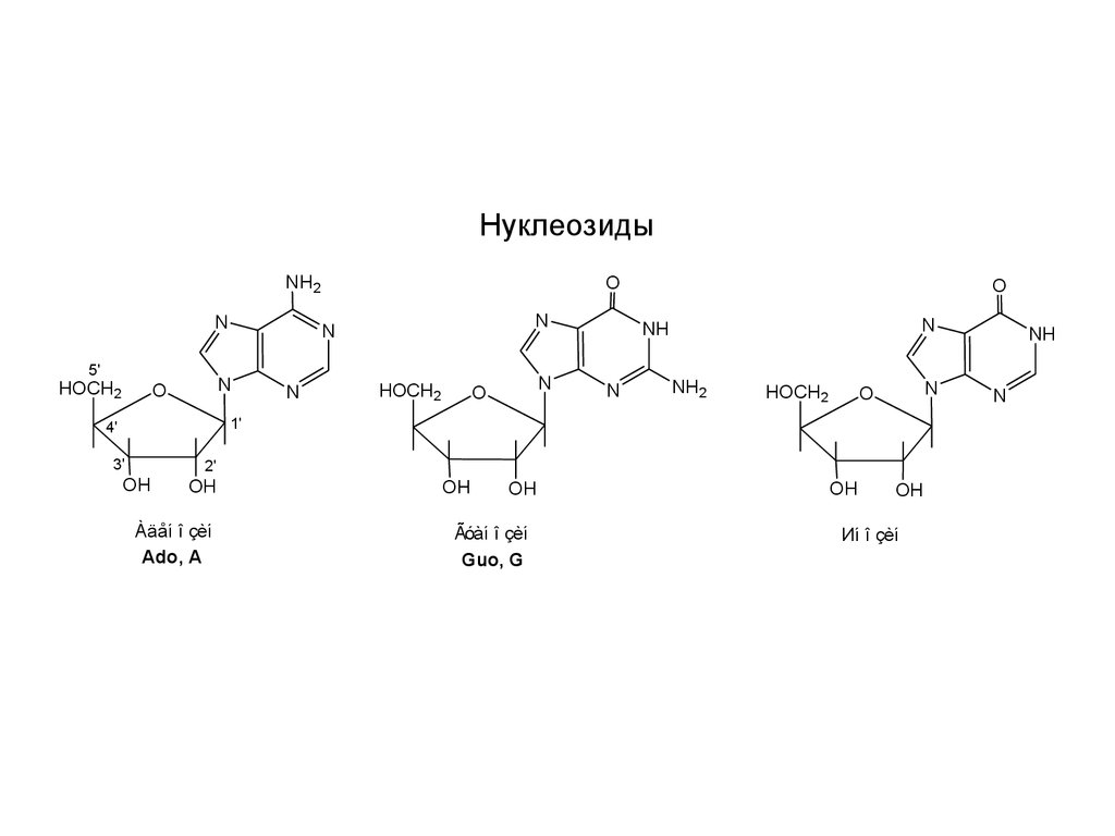Нуклеозиды и нуклеотиды. Нуклеозиды ДНК. Строение нуклеозидов. Структура нуклеозида. Нуклеотид и нуклеозид.