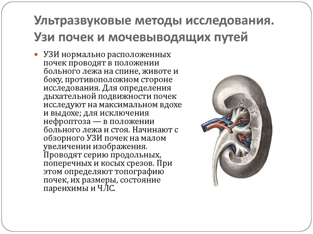 Исследование почек. Ультразвуковые методы исследования почек. УЗИ почек методика. Методы исследования почек УЗИ. Ультразвуковые методы исследования органов мочевыделения.