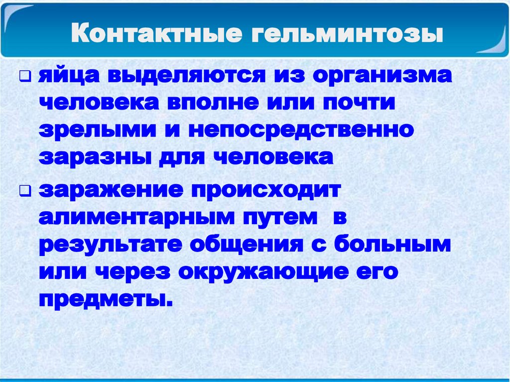 Контактные гельминтозы дополнить схему