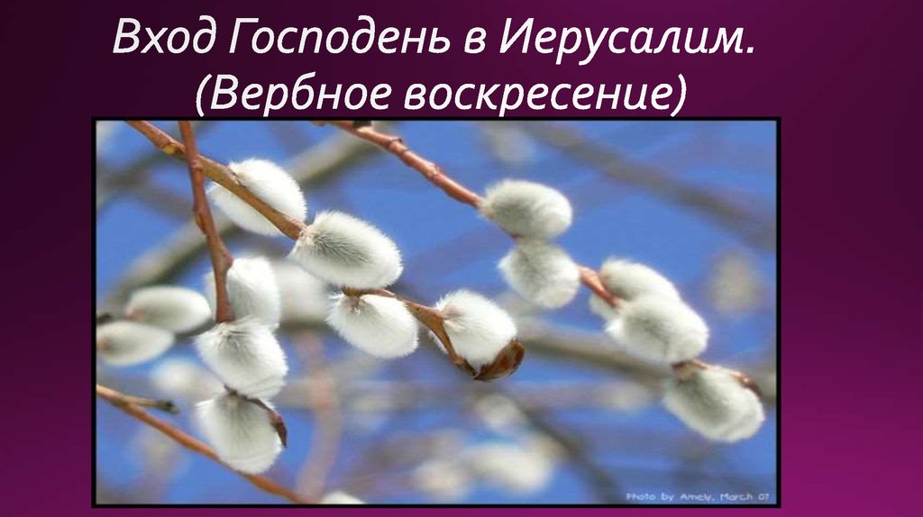 Презентация вербное воскресенье 4 класс орксэ