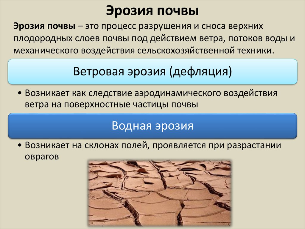 Сделайте анализ рисунка и укажите процессы ведущие к водной эрозии почвы