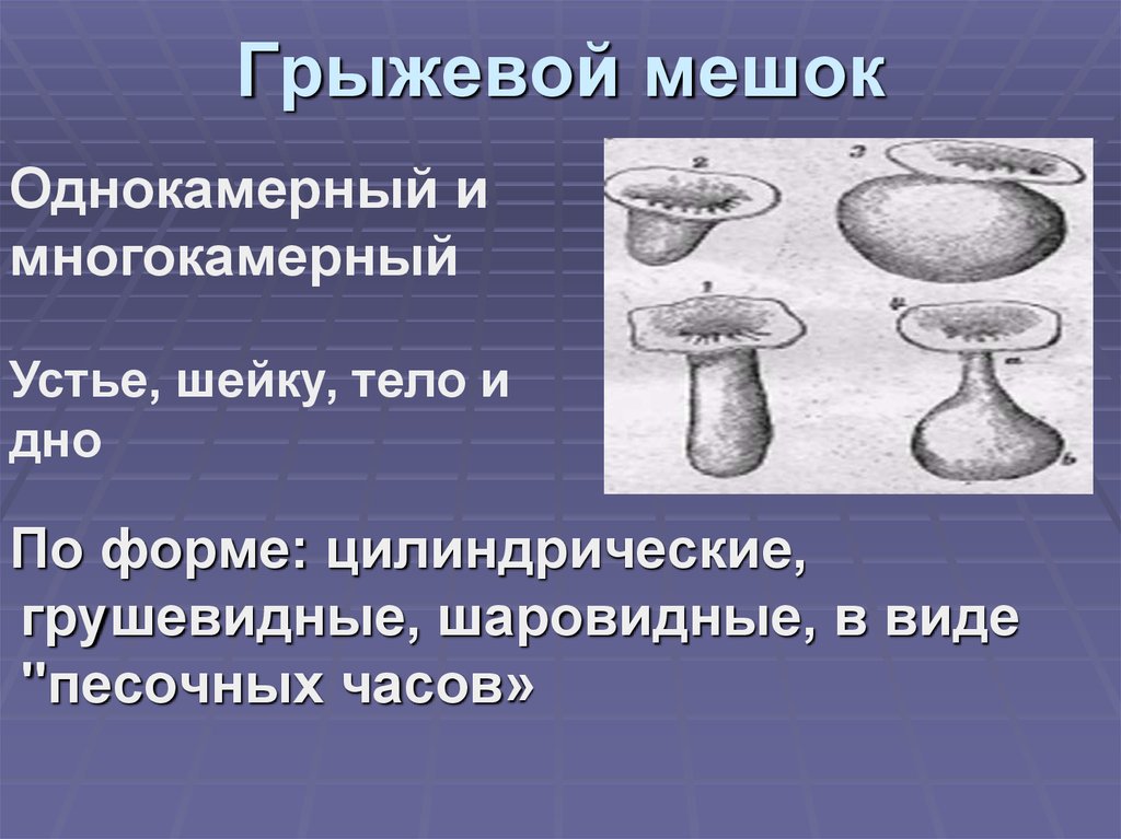 Грыжевой мешок