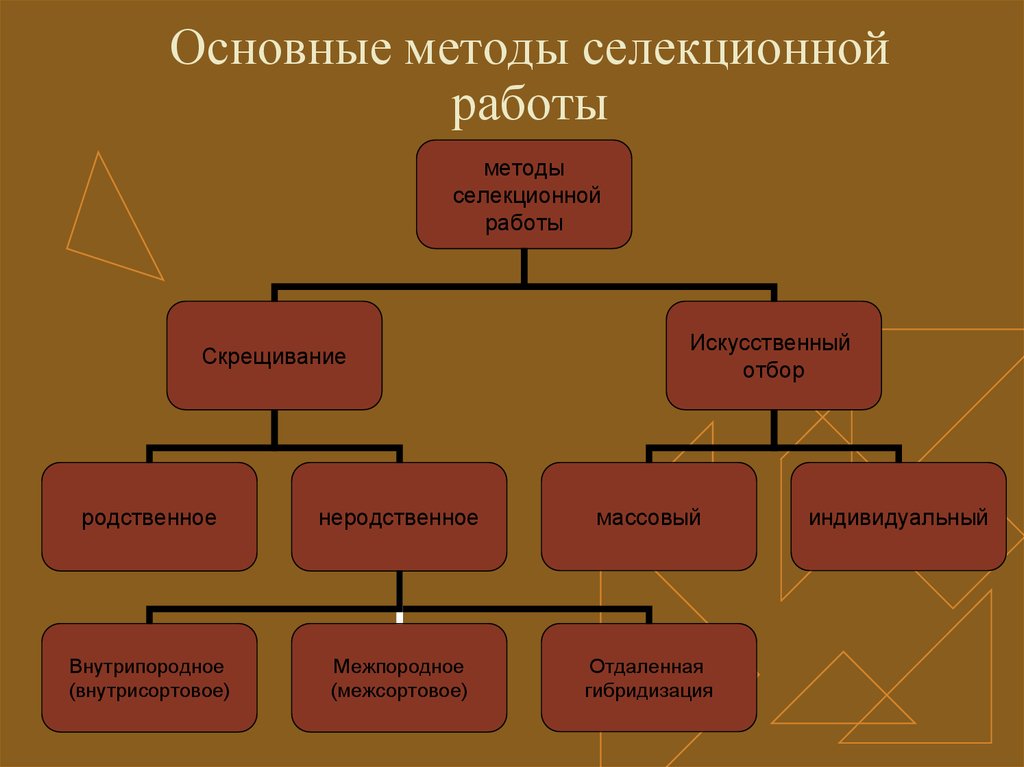 Схема методов селекции