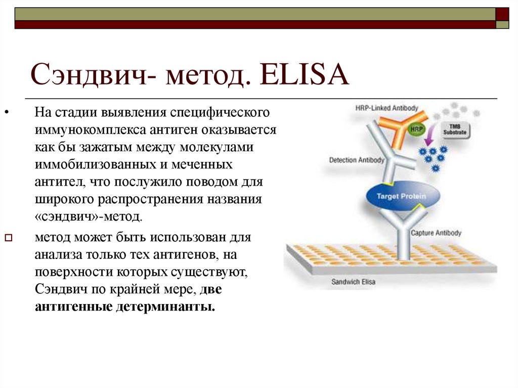 Иммуноферментный анализ тест. Неконкурентный «сэндвич» – вариант ИФА. Сэндвич метод ИФА. Иммуноферментный метод (иммуноферментный анализ, ИФА). ИФА анализ сэндвич метод.