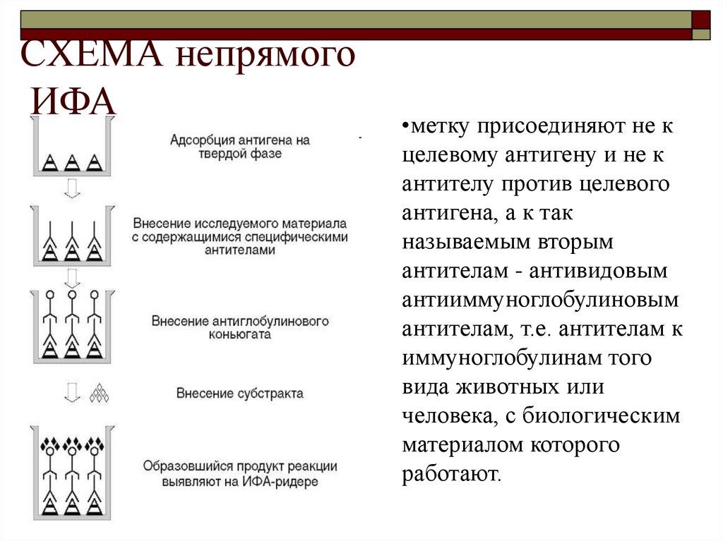 Необходимые ингредиенты особенности и схема постановки неконкурентного ифа методом сэндвича