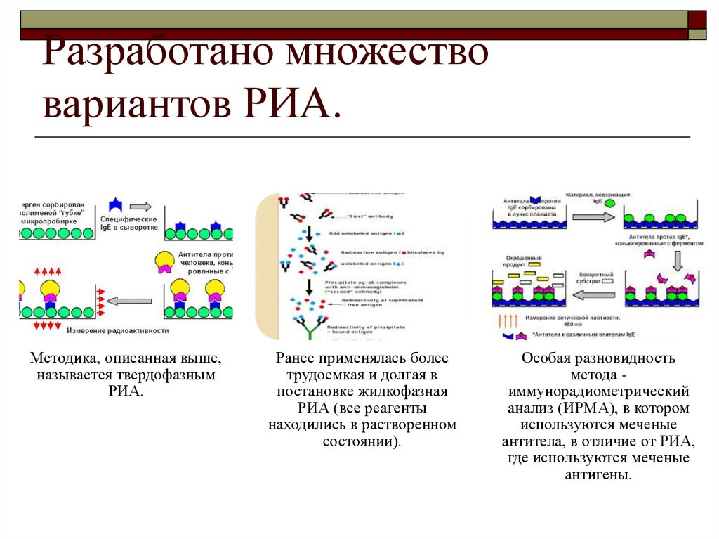 Риа это. Радиоиммунный анализ (РИА). Краткая схема радиоиммунного анализа. Иммуноферментный и радиоиммунный анализ. Радиоиммунный анализ микробиология.