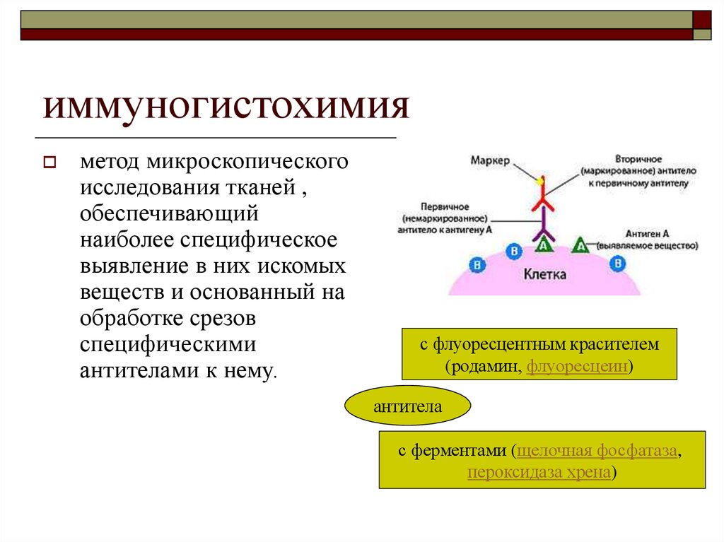 Что такое игх исследование в онкологии