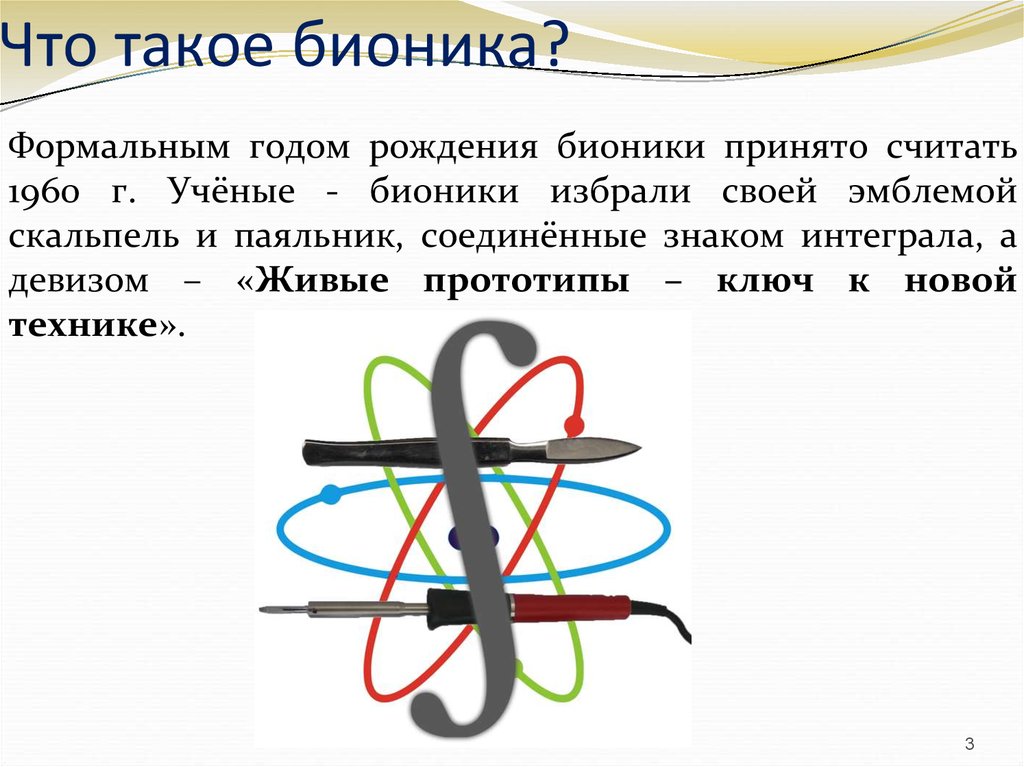 Презентация бионика 10 класс