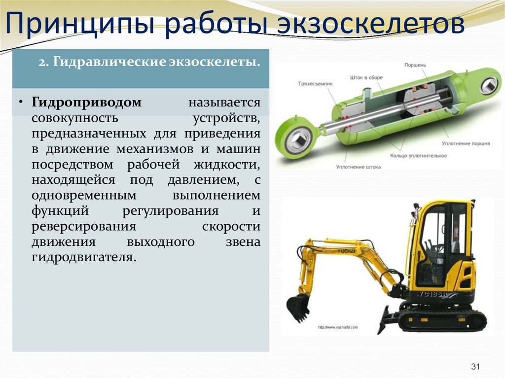 Бионика и робототехника презентация