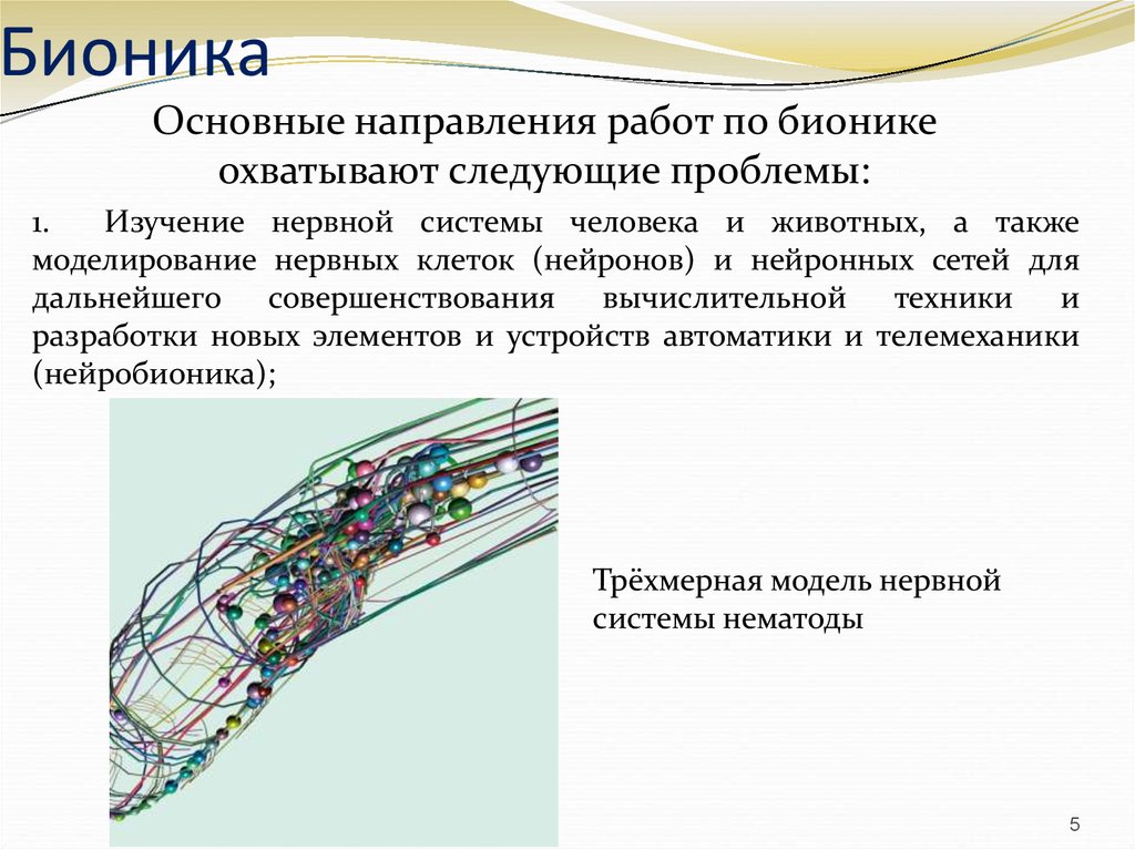 Бионика в медицине презентация