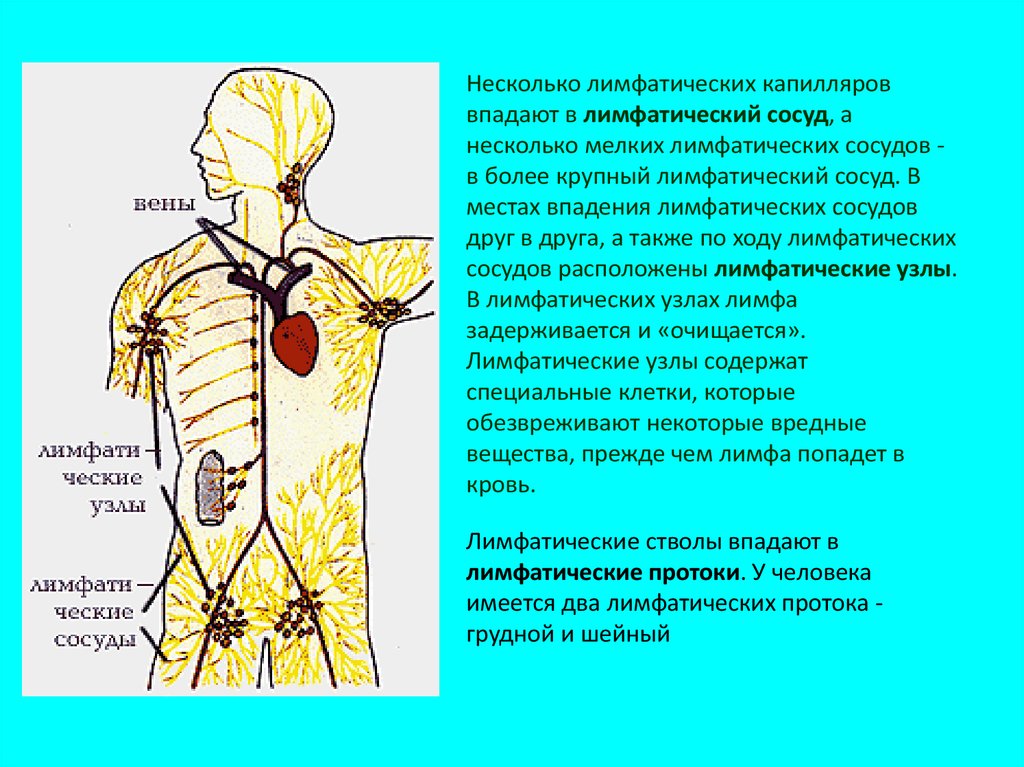 Расширение лимфатических протоков