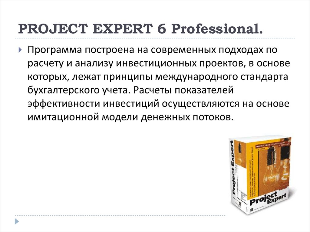 Project expert