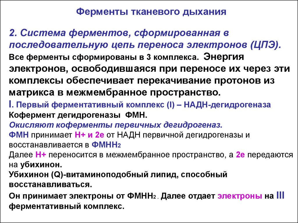 Электрон перенос. Дыхательные ферменты. Ферменты системы дыхания. Участие ферментов в процессе дыхания. Ферменты и коферменты тканевого дыхания.