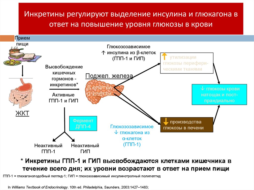 Может ли повышен. Повышение уровня Глюкозы. Повышенного уровня Глюкозы в крови. Выделение инсулина. Повышение уровня инсулина.