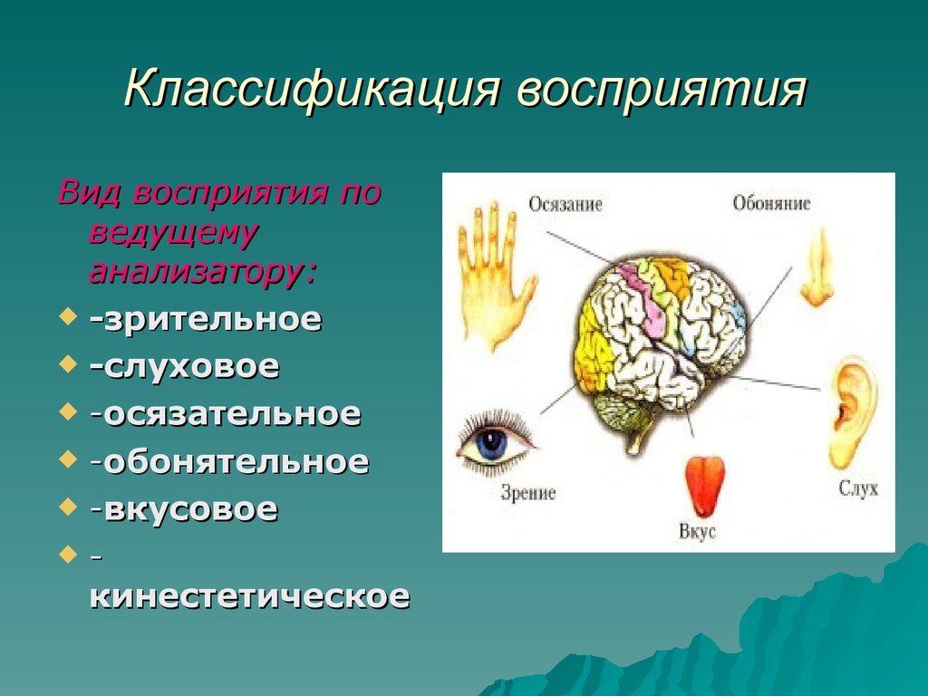 Восприятие. Виды восприятия по форме психической активности по структуре  существования материи - презентация онлайн