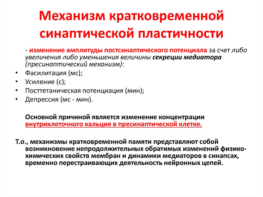 Механизмы памяти. Механизмы кратковременной и долговременной памяти. Механизм кратковременной памяти физиология. Механизмы формирования долговременной и кратковременной памяти. Механизм формирования кратковременной памяти.