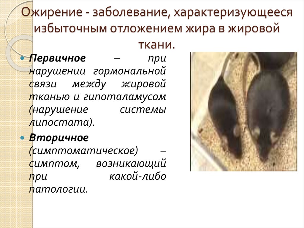 Ожирение - заболевание, характеризующееся избыточным отложением жира в жировой ткани.