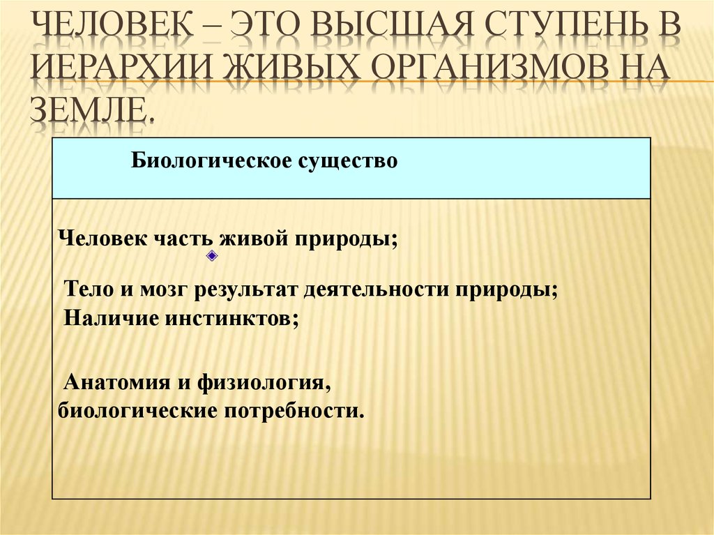 Человек – это высшая ступень в иерархии живых организмов на Земле.
