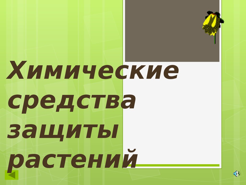 Презентация на тему химические средства защиты растений