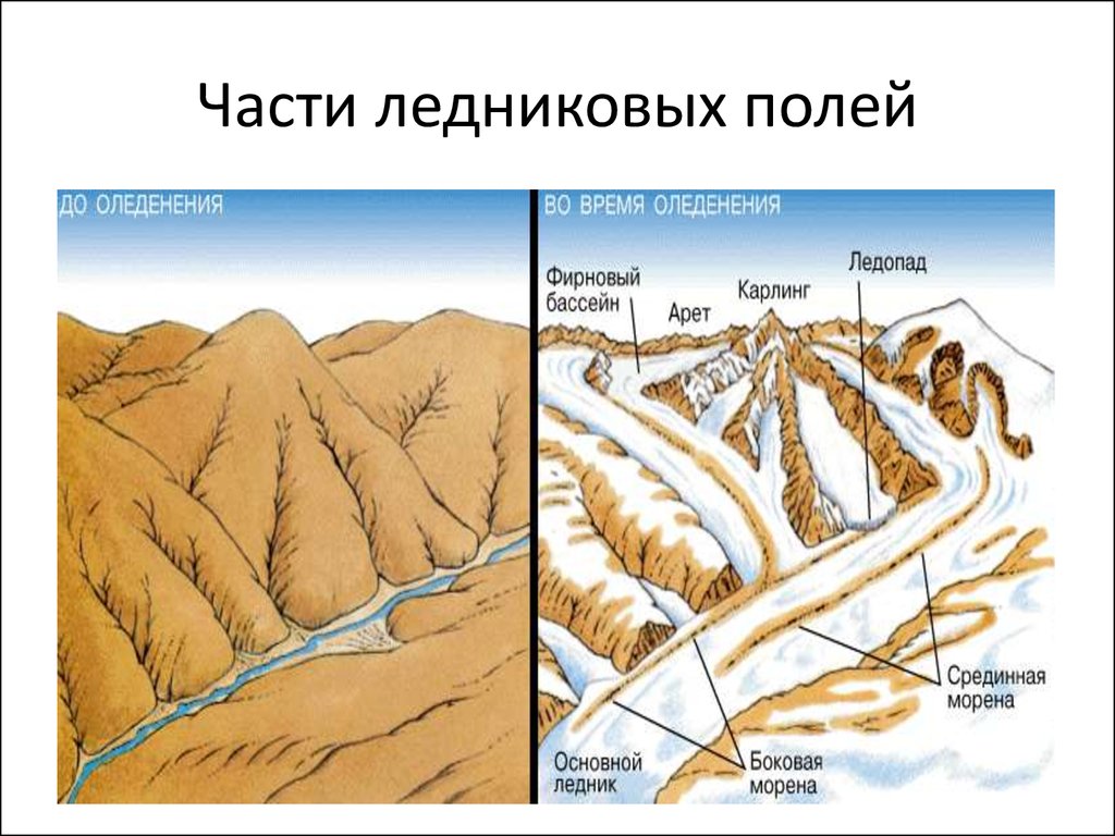 Рассмотрите схему природного процесса и выполните задания фирновый бассейн снеговая линия