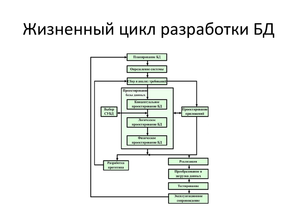 Организация данных курсовая. Основы проектирования баз данных. Теоретические основы проектирования баз данных. Жизненный цикл разработки БД. Физическое проектирование базы данных.