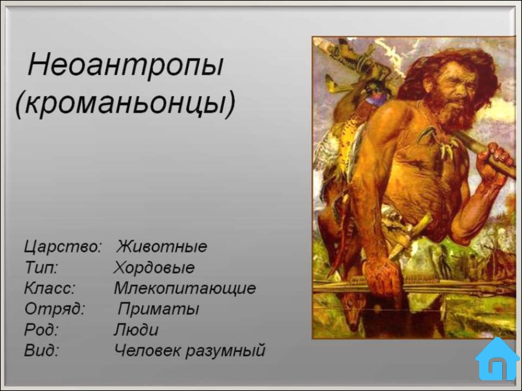 Древние люди особенности образа жизни. Современные люди Неоантропы. Неоантроп человек современного типа. Человек разумный кроманьонец. Неоантропы и человек разумный.