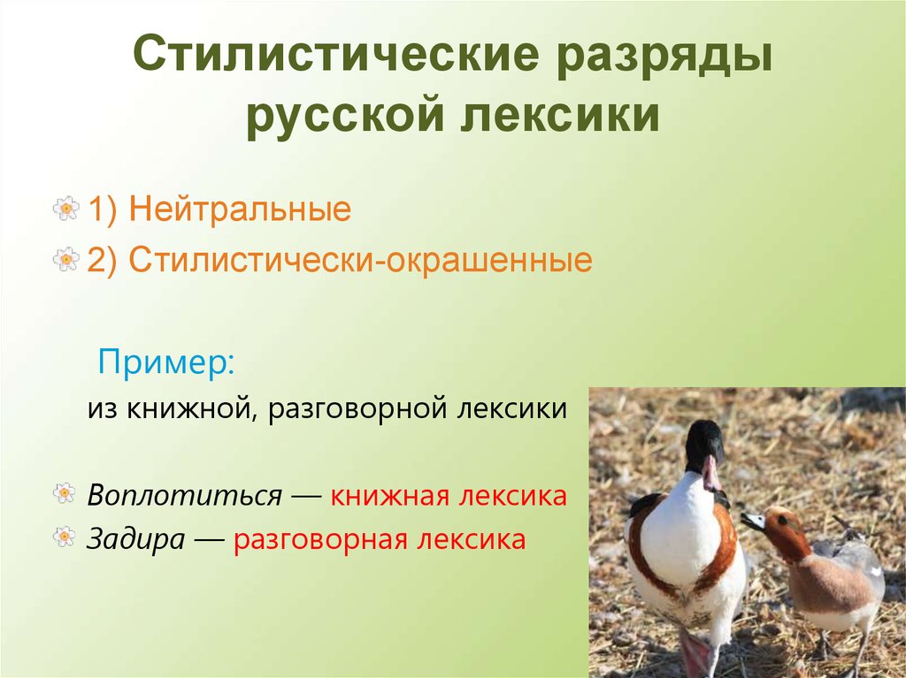 Стилистические разряды русской лексики