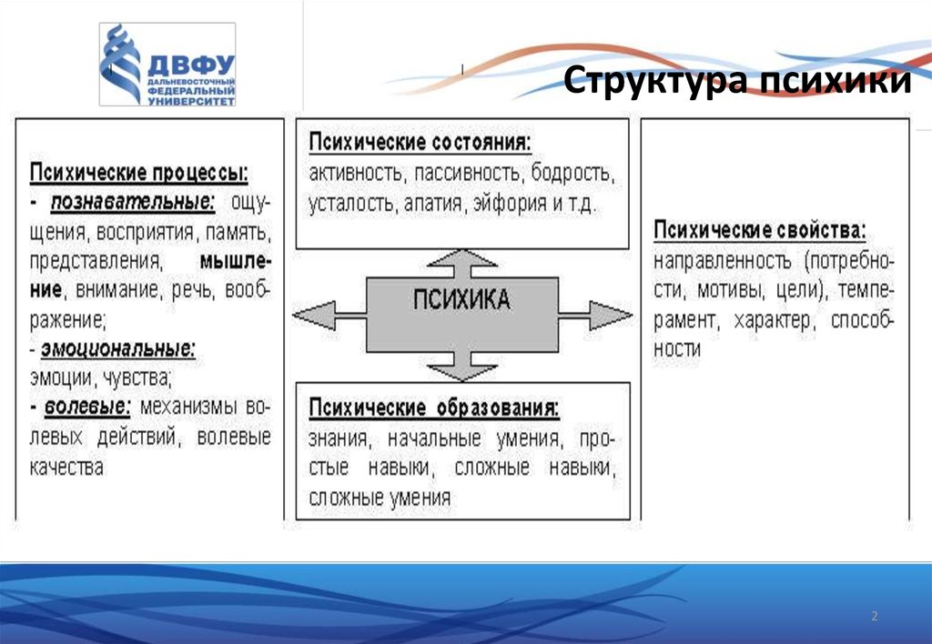 Структура психики человека схема