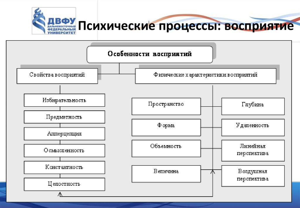 Психические процессы в схемах