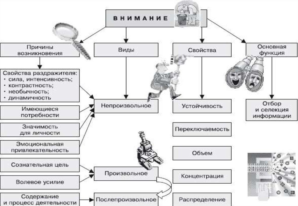 Блок схема память психология