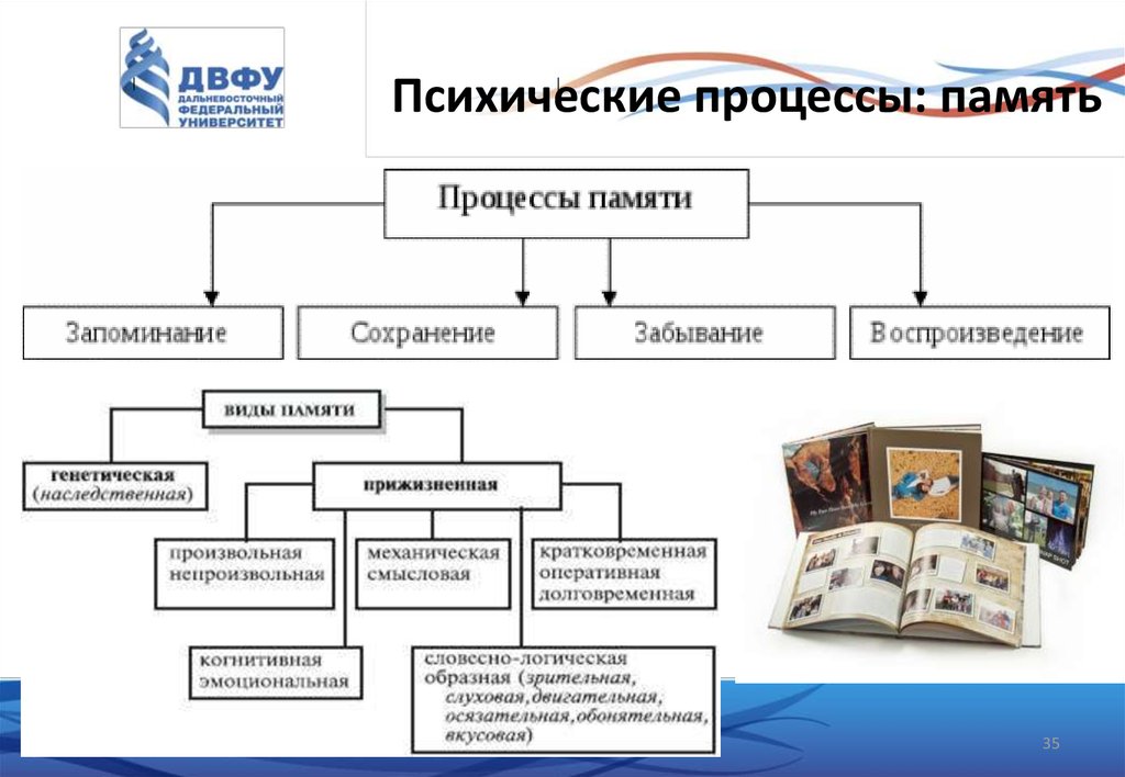 Память как познавательный психический процесс презентация