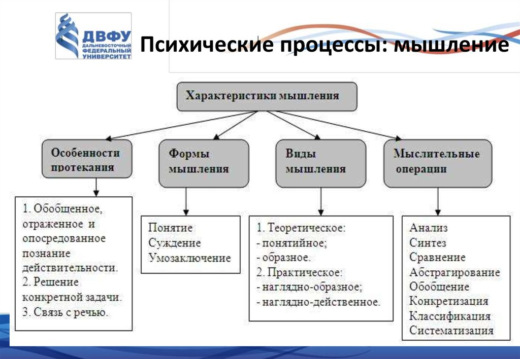 Схема психических процессов