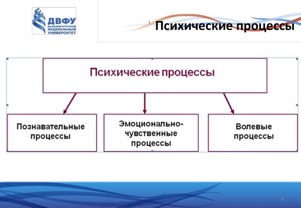 Презентация по теме психические процессы